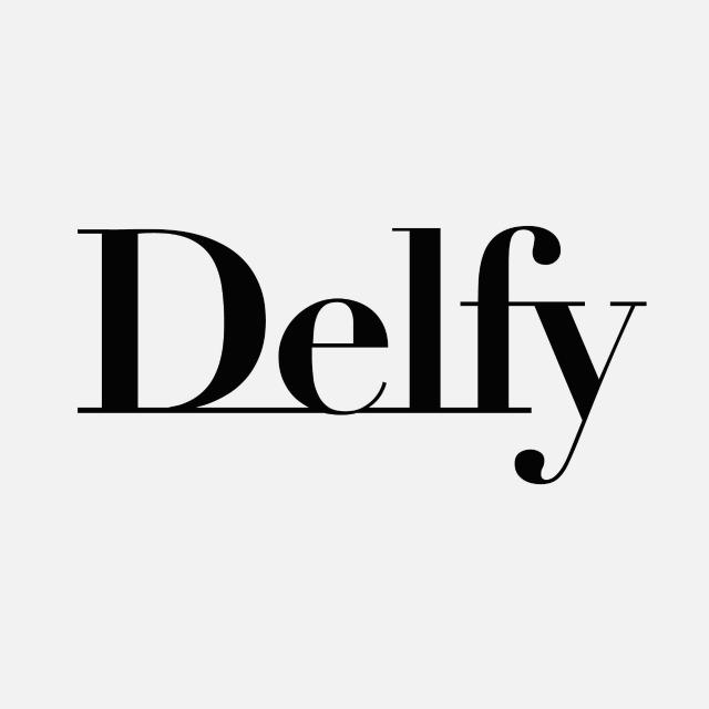 DELFY FDR GROUP S.L.