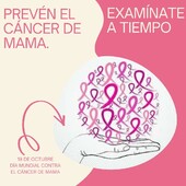 Hoy 19 de octubre, @Farmasaludable.net también se suma al rosa con el 🎗 #diamundialcancerdemama🎀 🎗 . Examínate a tiempo para prevenir el cáncer de mama.
#sumatealrosa #tuluchaesmilucha #farmacia #hydroskinoncology #cancerdemama